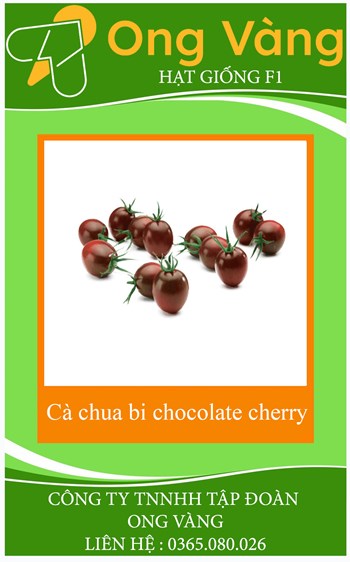 Hạt giống cà chua bi chocolate cherry