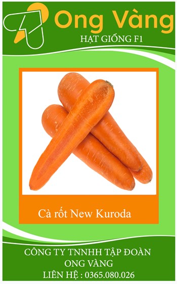Hạt giống cà rốt New Kuroda